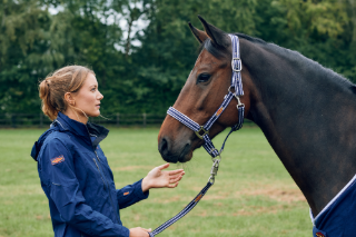 Headcollar