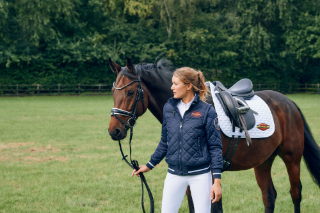 Saddle pad dressage in blue