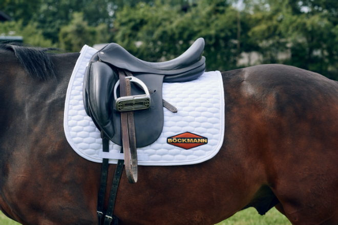 Saddle pad dressage in blue